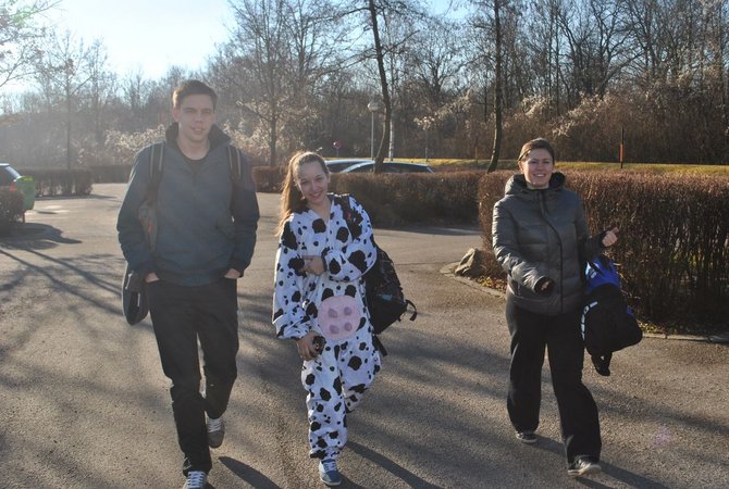 Gebietsentscheid Hallenvolleyball